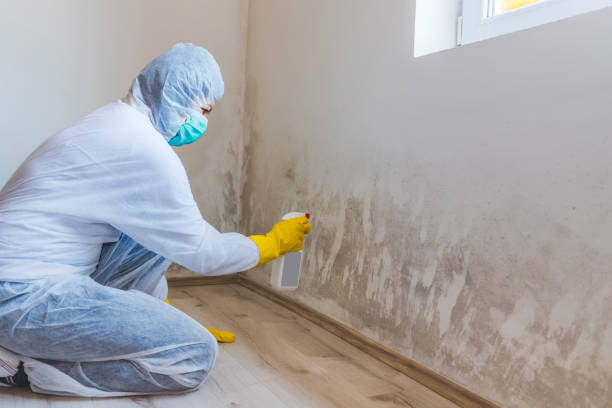 Licensed Bathroom Mold Removal service in Westfield, PA - WQB Mold Removal