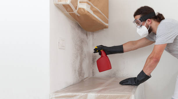 Professional Bathroom Mold Removal technician working in Westfield, PA