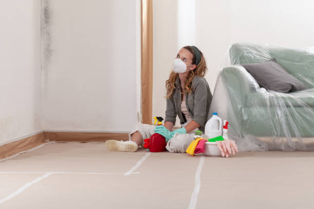 Reliable Bathroom Mold Removal contractor in Westfield, PA by WQB Mold Removal